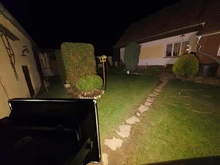 Phyto-Lamp Flower-Growth-Lighting Seedling LED Cob-Chip Indoor-Plant Full-Spectrum 50W