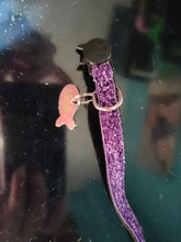 Collar de seguridad para gato, Collar de gatito personalizado de liberación rápida, Collar para gatos con campana para cachorro gatito