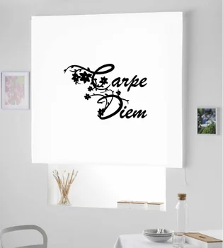 

Blind Iroa rolling youth/Hornbeam Diem! ROLLER BLINDS TRANSLUCENT! (WHITE 100X175)