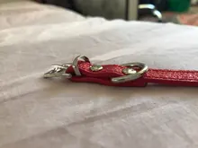 Personalized Dog Collar Leather Rhinestone Bling Charms Custom Pet Dogs Cat Name