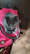 Mochila De viaje portátil plegable con doble hombro para mascotas, bolsa de transporte frontal de malla para perros y gatos