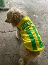 Ropa de perro, chaleco de malla para perros pequeños, medianos y grandes, uniforme de fútbol de la Copa del Mundo, ropa de baloncesto para gatos y Mascotas