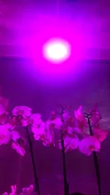 Growth-Light Flower Uv-Lamp Seedling Hydroponic Phyto Led Plant GU10 MR16 Full-Spectrum