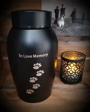 Urnas de acero inoxidable doradas y negras para mascotas, urnas para perro, gato, pájaro, cremación, cenizas, urna de recuerdo