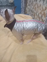 Coat Puppy Clothing Jacket Puppy-French-Bulldog Dogs Waterproof Chihuahua Winter Vest