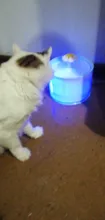 Fuente de agua para perros o gatos, dispensador eléctrico-automático, silencioso, y con luz LED, alimentador USB, capacidad 2,4 L