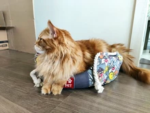 Thicken Dog Kennel Pet Bed For Dogs Cat House Dog Beds For Large Dogs Pets Products For