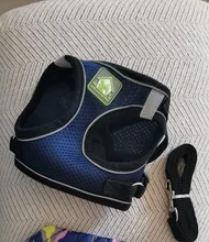 Arnés para gato de malla de nailon, chaleco reflectante para perro, conjunto de arnés y correa para Chihuahua, Pug, correa de plomo pequeña y mediana para caminar