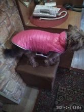 Dog-Down-Jacket French-Bulldog-Vest Pet-Chihuahua-Coat Dogs Reflective Reversible Winter