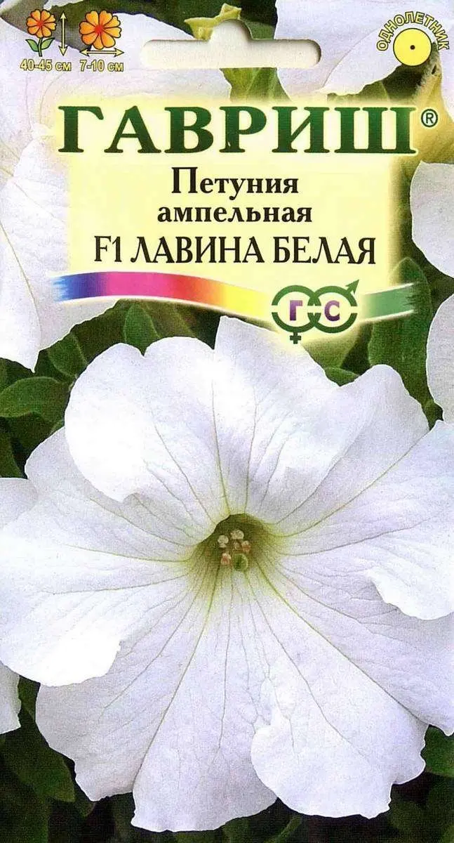 петуния ампельная avalanche (лавина). петуния f1 лавина белая. петуния ампельная лавина белая f1. петуния ампельная лавина белая f1. петуния f1 лавина гавриш ампельная.