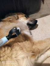 Peine con nudo abierto de doble cara para mascotas, herramienta de cepillado y caída de pelo para perros, peine para depilación de gatos, cepillo de doble cara de acero inoxidable, piel larga mate