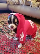 Costume Pet-Jumpsuit Puppy-Outfit Dogs French Bulldog Chihuahua Medium Pug-Pets Small