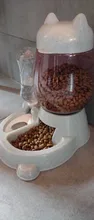 Automatic Feeder Bowl Food-Feeding-Container-Supplies 528ml-Bottle Drinking-Water Kitten