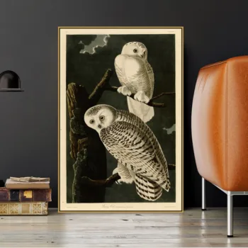 

John J. Audubon Old Famous Master American Artist Snowy Owl Canvas Painting Poster Print for Living Room Wall Decor Wall Art