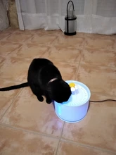 Dispenser-Container Fountain Cat-Bowl Water-Level-Display Electric-Water-Feeder Dogs