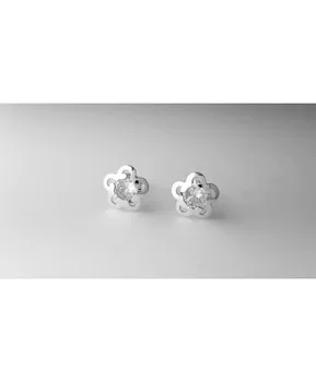 

White gold earrings