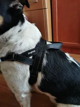 Arnés ajustable para perros medianos y grandes, chaleco reflectante de entrenamiento para caminar, sin tirones, para mascotas