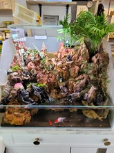 Termómetro de temperatura para reptiles, higrómetro de humedad, medidor de vivero, suministros de tanque