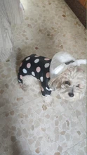 Dog Overalls Clothing Puppy Winter Coat Hoodie Pet-Dog Cotton Thicken Dot for Small Big-Polka-Dot