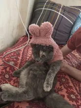 Ropa de Gato caliente para mascotas, abrigo, chaqueta para perros pequeños, medianos, gatos, Chihuahua, ropa de Yorkshire, disfraz rosa, S-2XL