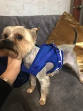 Dog-Harness Vest Lead Leash Pet Reflective Adjustable Small Medium Dog Walking Summer