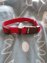 Collar ajustable con lazo para perro, accesorio para cachorro, gato, Honda, regalo de Navidad