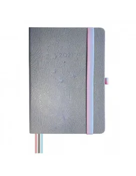 

Annual framework AGENDA DESIGN M4 1DP 2021 NACAR +