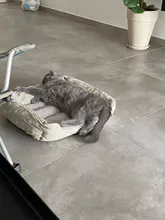 Sofa Bench Pet-Kennel Dog-Bed Dogs Small Large House-Mats Pet-Products Cats Durable 