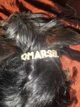 DIY Bling Personalized Dog Collar Rhinestones Leather Free Name Small Medium Pet