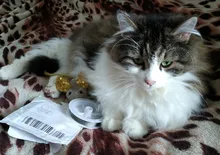 Alambre de acero inoxidable para hacer pulseras y collares, cable de acero inoxidable hecho a mano para hacer pulseras y collares, 0,3/0,38/0,45/0,5/0,6/0,7mm