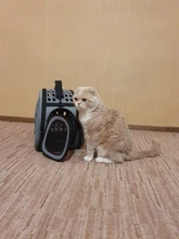 Bolsa de transporte para perros con diseño de gato, bolso de los gatos portátil, plegable, de viaje, para llevar al hombro