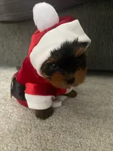 Costume Jackets Yorkie-Outfit Cat-Clothing Puppy Small Dogs Coat Hooded Pet-Dog Winter Dog