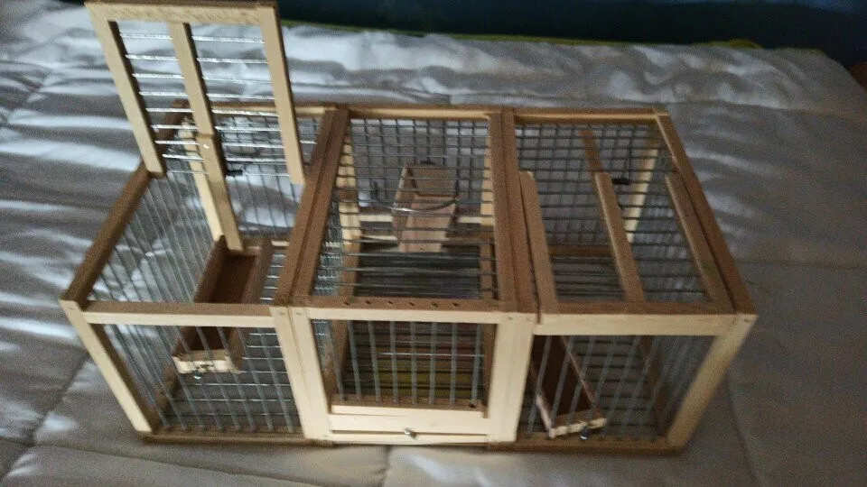 

Double side trap cage