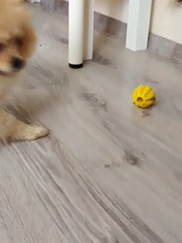 Toy-Ball Chew-Toys Cleaning-Ball Treat-Feeder Puppy Pet-Dog Dog-Food Chihuahua Tooth