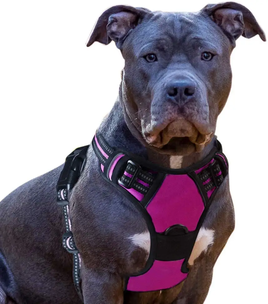 

Front Clip Vest Harness Dog Car Harnesses with Handle Puppy Chest Padded Adjustable Reflective Breathable Mesh Lightweight