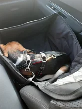 Protector para asiento de coche para perros, hamaca para asiento de coche 2 en 1, resistente al agua, para gatos y perros
