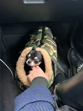 Cat Backpack Pets-Sling-Bag Pet-Carrier Travel Shoulder-Bags Puppy Dog Small Chihuahua