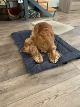 Blanket Kennel Couch Dog-Cushion-Mat Pet-Beds Dogs Foldable Small Outdoor Waterproof