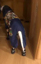 HOOPET Large Coat Down-Jacket Winter New Warm Autumn for Dogs Dog-Prints Overalls Leisure-Style