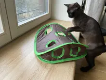 Juego de ratones de Gato para mascotas, tienda de campaña con campana de juguete de inteligencia con 9 agujeros, túnel de juego para gatos, ratón abatible, juguetes para mantener a los gatitos activos