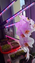 LED Grow Light USB Phyto Lamp Full Spectrum Grow Tent Complete Kit Phytolamp for Plants