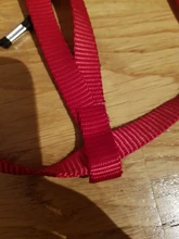 Bird-Harness Leash Training-Rope Parrot Band Anti-Bite Flying Outdoor Traction-Straps