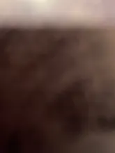 MASSCAKU Premade ruso volumen tallo corto extensiones de pestañas de los Fans de 3D 4D 5D 6D 10D 20D de visón pestañas venta al por mayor