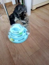 3 Levels Pet Cat Toy Tower Tracks Disc Interacitve Cat Toys Ball Training Amusement Plate