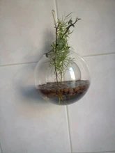 Transparent Glass Vase Flower-Pot Potted-Plant Wall-Hanging Terrarium-Fish-Tanks Hydroponic