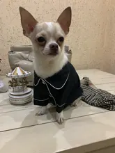 Puppy-Outfit Dogs-Costume Pet-French-Bulldog-Pajamas Chihuahua Fashion Small Medium Perro