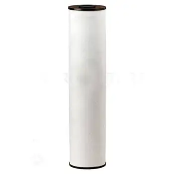 

Cartridge Pentek rffe iron BB-20 ", decontamination