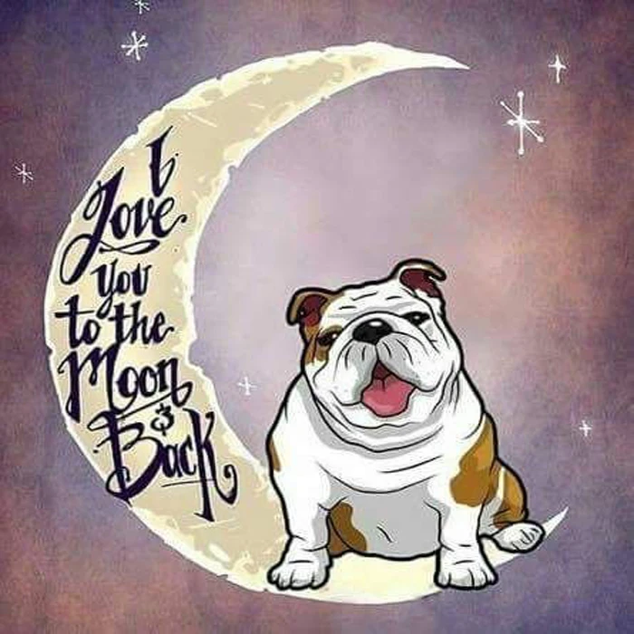 9815ae3d26065546cb0ed10eedbc83d7