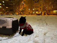 Pet Cat Reindeer Sweater Winter Warm Cat Clothes for Cats Kedi Outfit katten Clothing