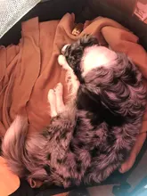 Shade-Cover Tent Playpen Kennel Dog Crate Foldable Outdoor Waterproof Nest Mesh Pet-Dog